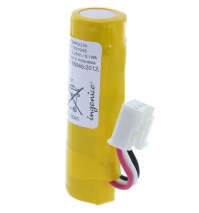 Batterie lithium ion gamme  IWL250